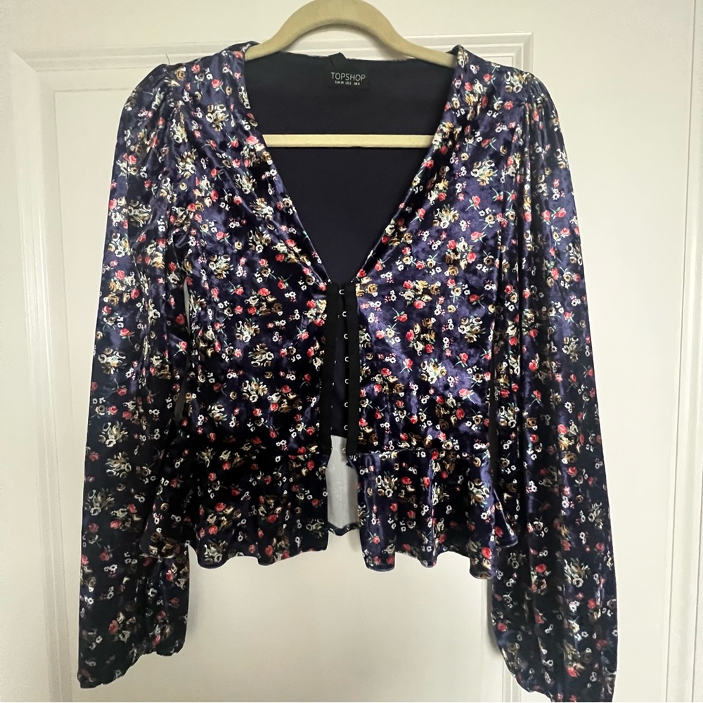Velour/velvet LS Fashion Top (Topshop, size 2)